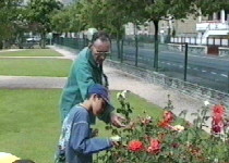 le gardien de la roseraie